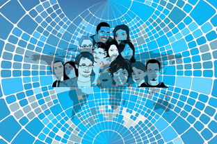 九游娱乐官方-美国队赛制分析：赛制中的人员调整与战术变化，美国队训练赛